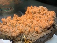 -湖南省地质博物馆