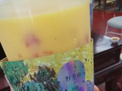 -野萃山·潮汕厚果汁(十亩地店)