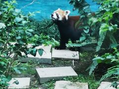 -石排湾郊野公园