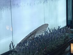 -上足·影院足道·SPA(红岭店)