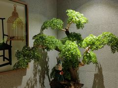 -东吴水韵(吴中店)