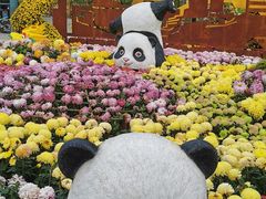 -南山植物园