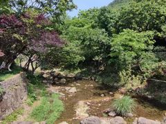-四明山国家森林公园