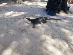 -东姑阿都拉曼海洋公园