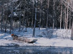 -济南森林公园