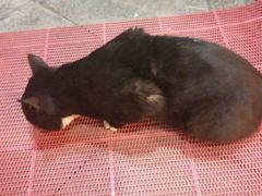 -梵行小馆烤肉(即墨店)