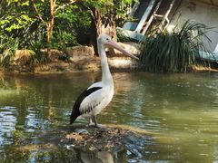 -费瑟代尔野生动物园