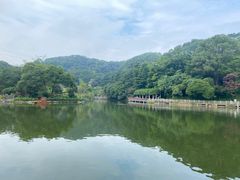 -广州市帽峰山景区