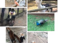 -昆明动物园