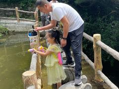 -王顺山国家森林公园