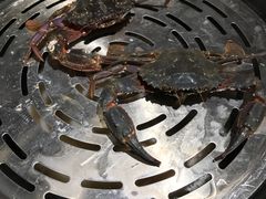 -苏大嘴海鲜牧场(奥林匹克店)