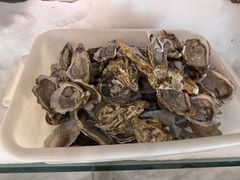 -川骄海鲜自助(亚运村店)