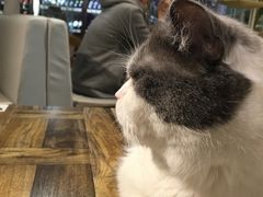 -小时光咖啡馆(开森度假森林店)