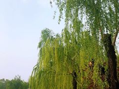 -康庄公园