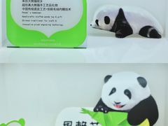 -成都大熊猫繁育研究基地