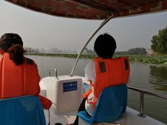 -大兴滨河森林公园