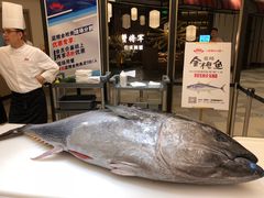 蓝鳍金枪鱼-蟹将军·松叶蟹和牛日料放题自助(K11店)