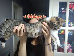 -谐和益家动物医院·免疫绝育·血液透析·宠保定点医院(高新伊藤分院)