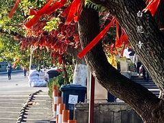 -杭州萧山国际机场