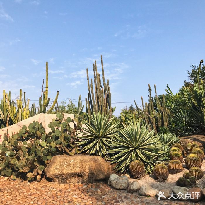 廈門市園林植物園-圖片-廈門景點/周邊遊-大眾點評網