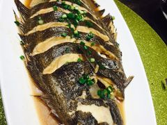 野生大牙片鱼-鱼王府大酒店