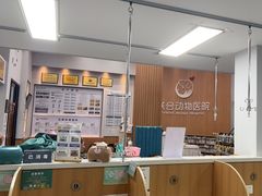 -联合动物医院(光谷诊疗中心)