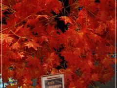 -老湘亲·品鉴湘菜(蔡塘爱琴海店)