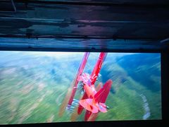 -中影星美国际影城(万家丽店)