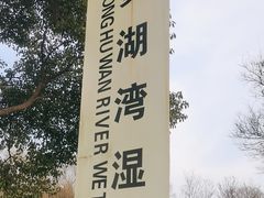 -贡湖湾湿地公园
