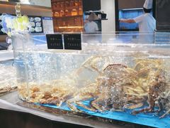 -徐记海鲜·宴会(大唐西市|丰庆店)