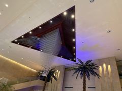 -常州环球恐龙城维景国际大酒店