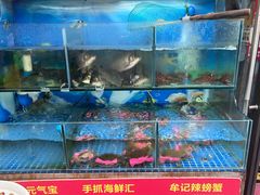 -牟记江湖重庆地标特色菜鱼蛋海鲜无刺鲫鱼(巴南区黑金冠十多年好店)