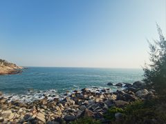 -广东惠东海龟国家级自然保护区