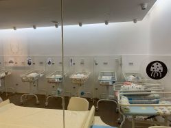 -海豚湾高端月子会所(黄浦店)