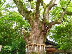 -热田神宫
