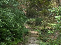 -南山植物园
