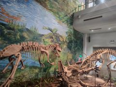-自贡恐龙博物馆