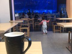 -成都浩海立方海洋公园