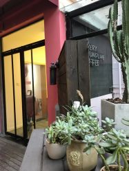-HAIR PORN STUDIO