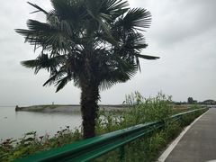 -巢湖姥山岛