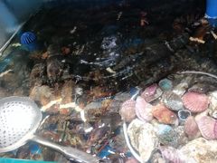 -良师门滨海人家·海鲜·家常菜(滨海城店)