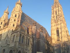 -斯蒂芬主教座堂(Stephansdom)