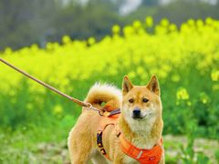 -中国天府农业博览园