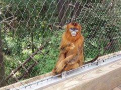 -哈尔滨北方森林动物园