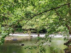 -阿哈湖国家湿地公园