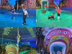 -烟台海昌鲸鲨海洋公园