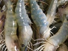 -朝阳菜场(白塔西路店)