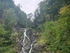-凤凰山国家森林公园