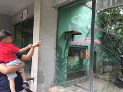景点-北京动物园