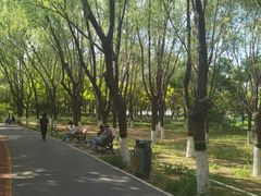 -大兴滨河森林公园